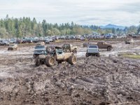 Mud Fest 2016 (40)