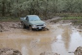 Mud_2013-041.JPG