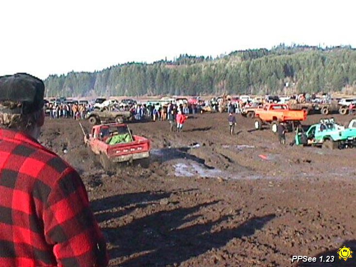 Bogs1.JPG