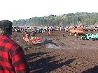 Bogs1_.JPG