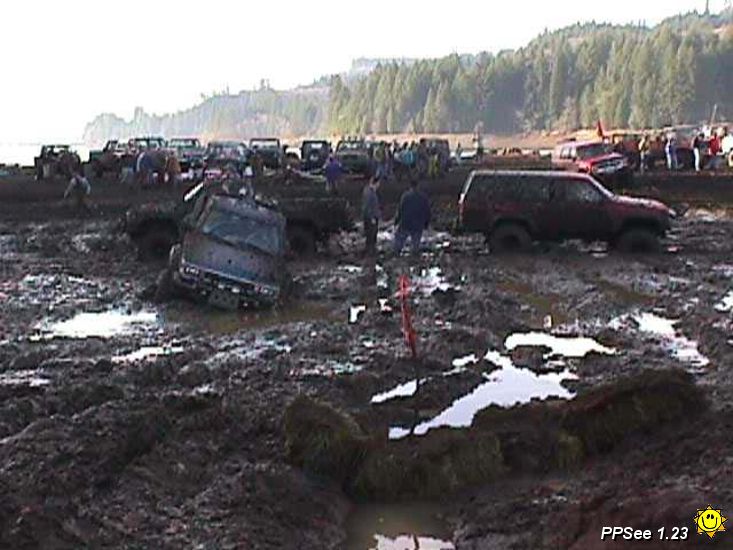 Bogs4.JPG