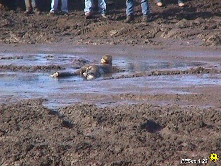 Mudfight1.JPG