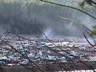 Overview_.JPG