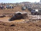 Mud2002-110_.JPG