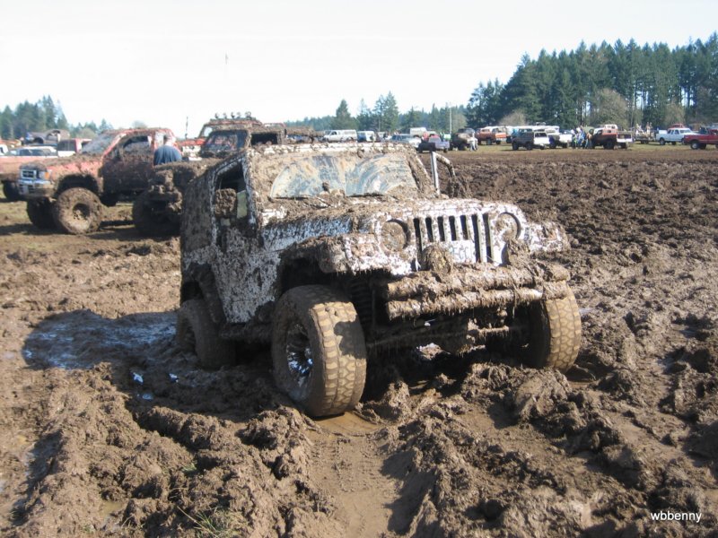 mud2010115.jpg