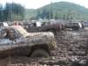 mud2010120_small.jpg