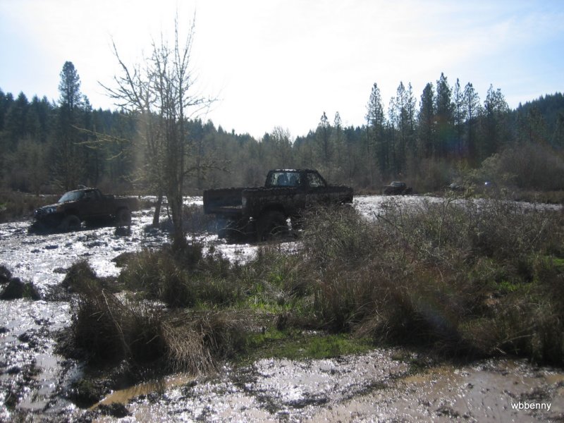 mud2010163.jpg