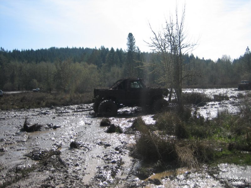 mud2010164.jpg