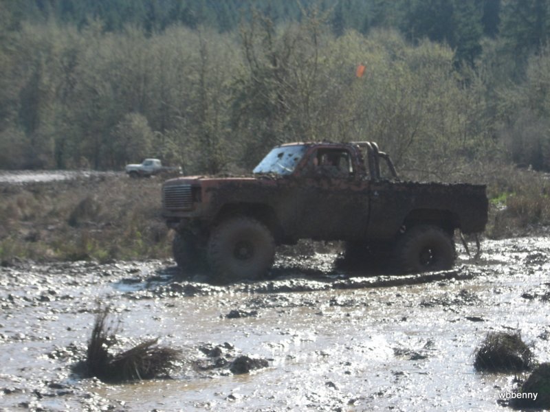 mud2010166.jpg