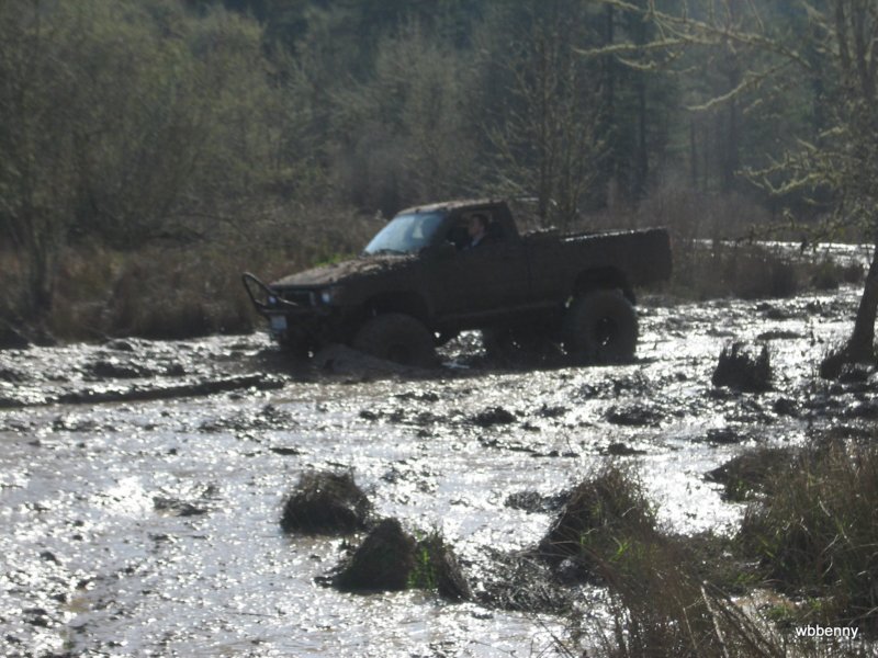 mud2010167.jpg