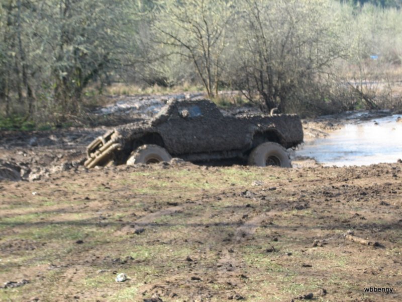 mud2010176.jpg