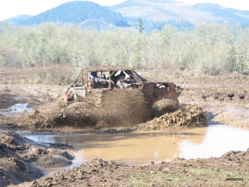 mud2010183.jpg