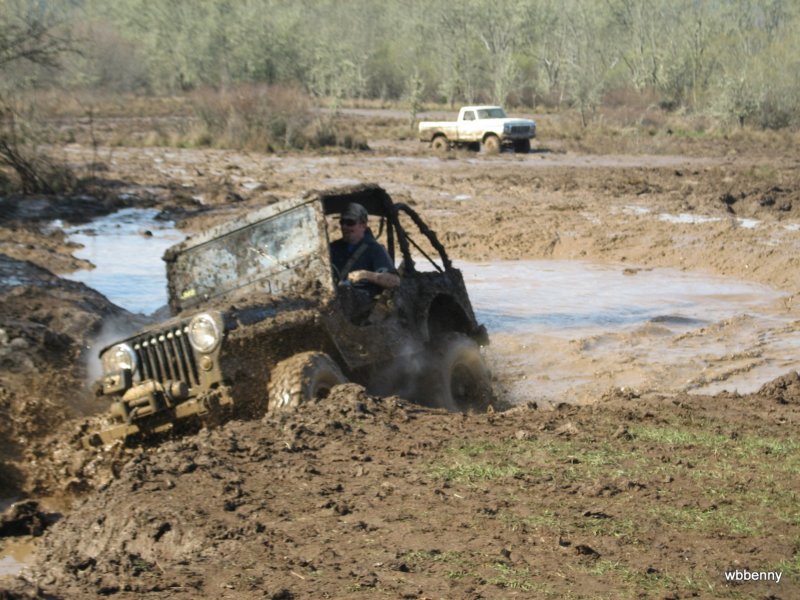 mud2010184.jpg