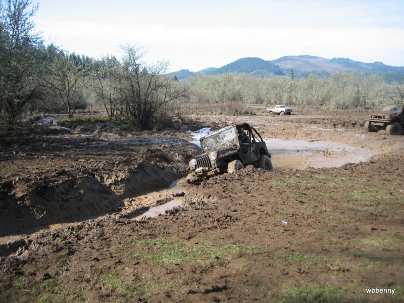 mud2010187.jpg