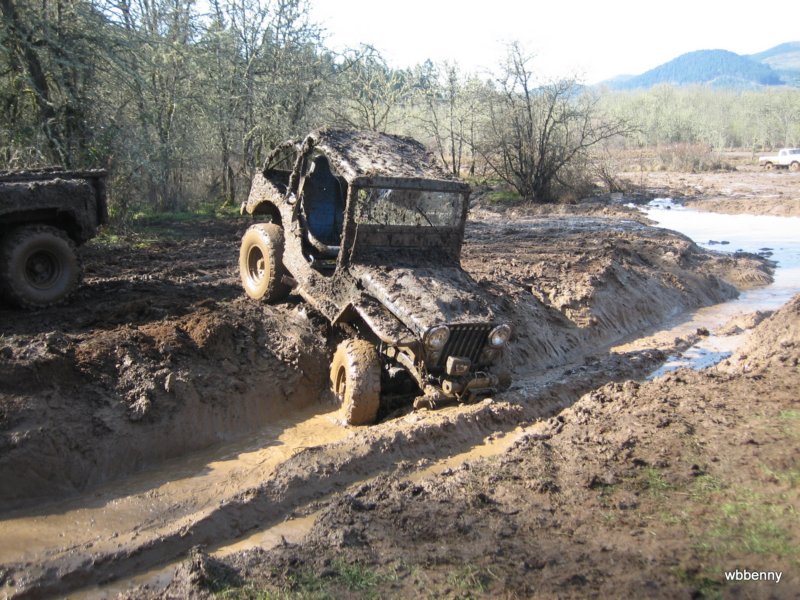 mud2010205.jpg