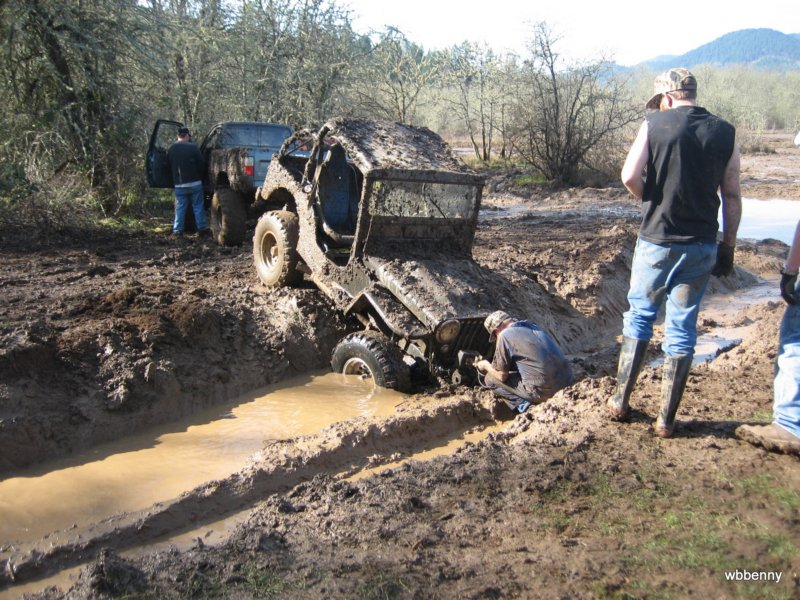 mud2010214.jpg