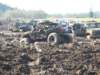 mud2010259_small.jpg