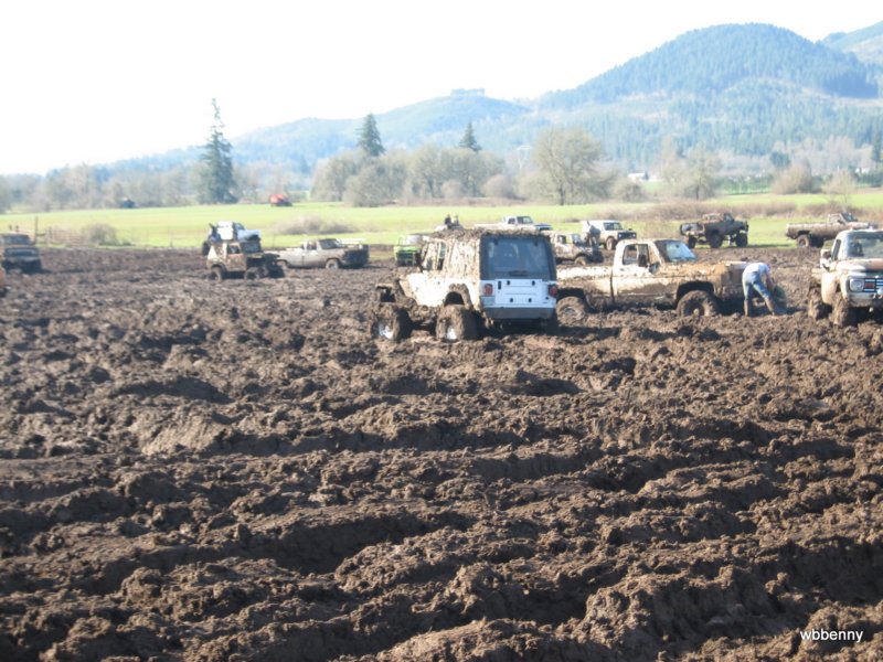 mud2010268.jpg