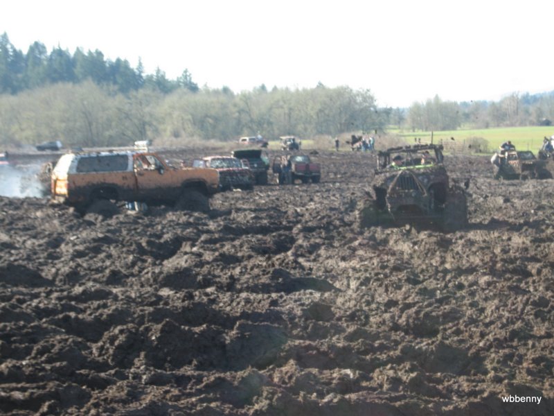 mud2010275.jpg