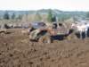 mud2010291_small.jpg