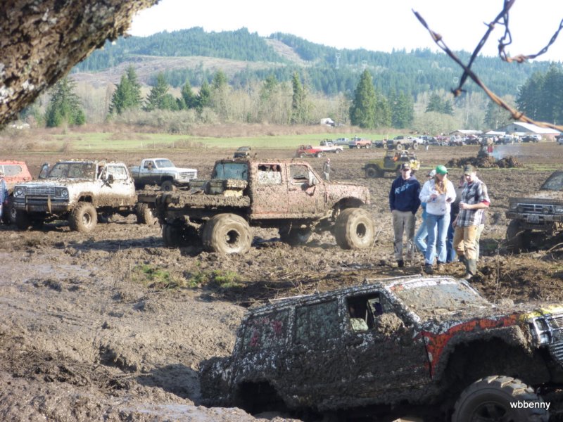 mud2010310.jpg