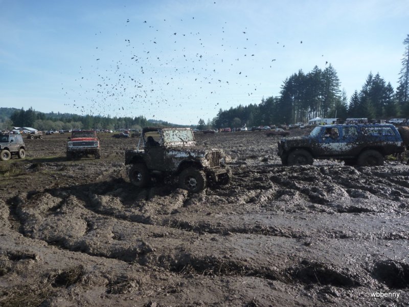 mud2010329.jpg