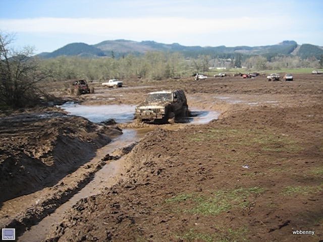 mud2010350.jpg