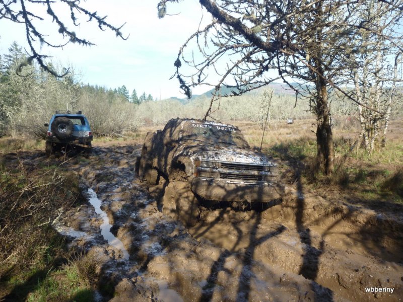 mud2010365.jpg