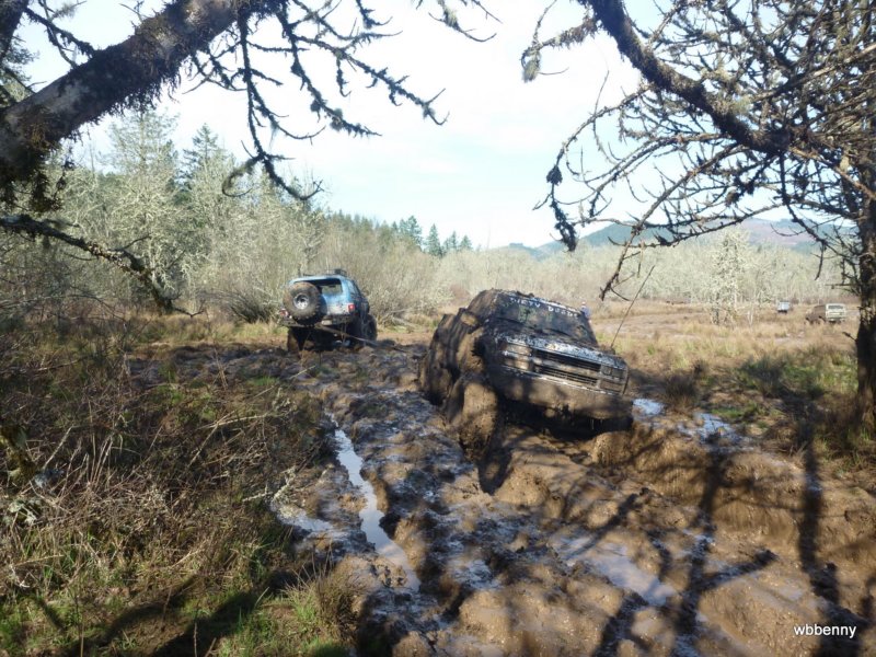 mud2010366.jpg