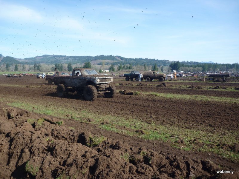 mud2010377.jpg