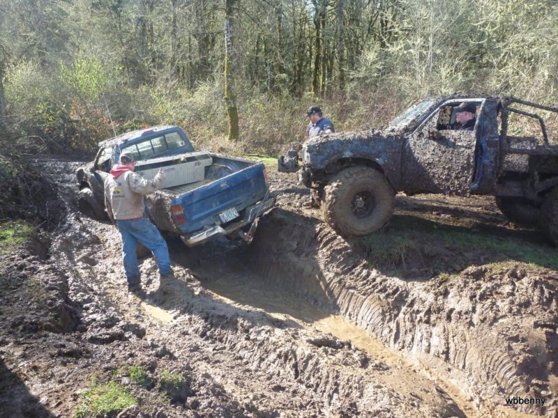 mud2010385.jpg