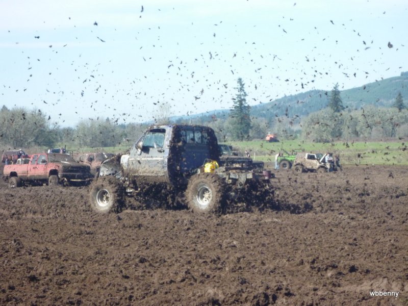 mud2010430.jpg