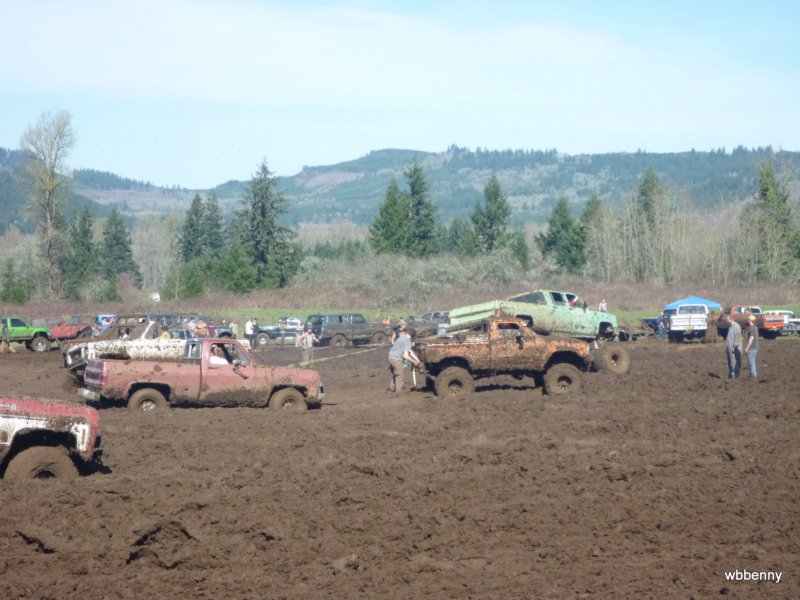 mud2010440.jpg