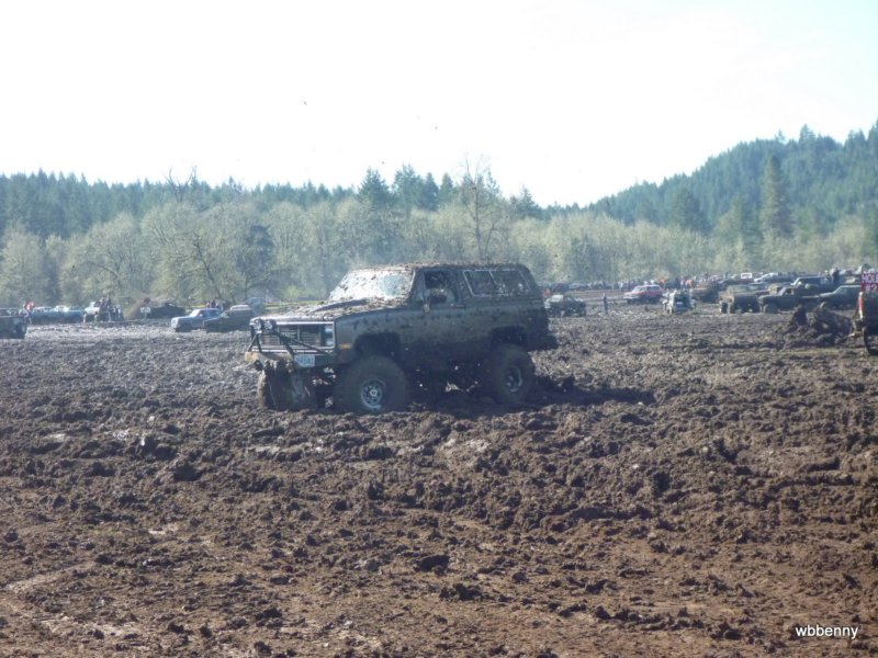 mud2010441.jpg