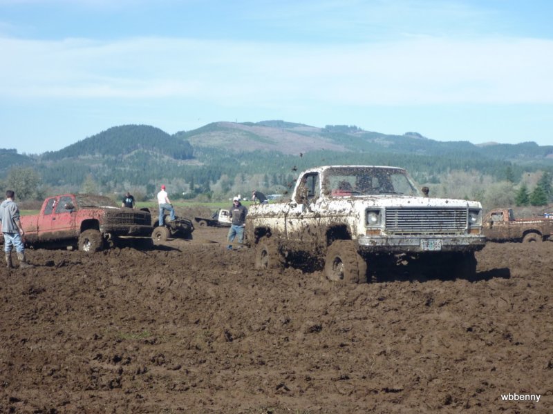 mud2010445.jpg