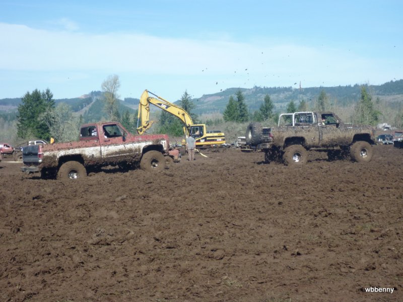 mud2010446.jpg