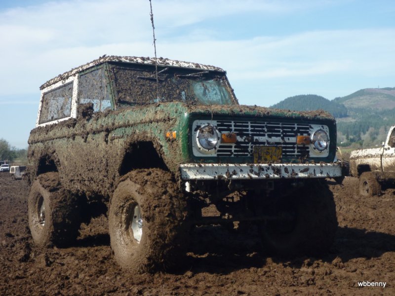 mud2010448.jpg