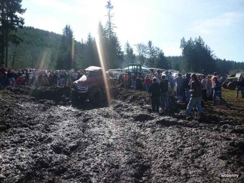 mud2010461.jpg