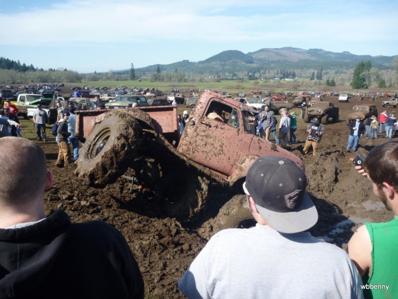 mud2010467.jpg