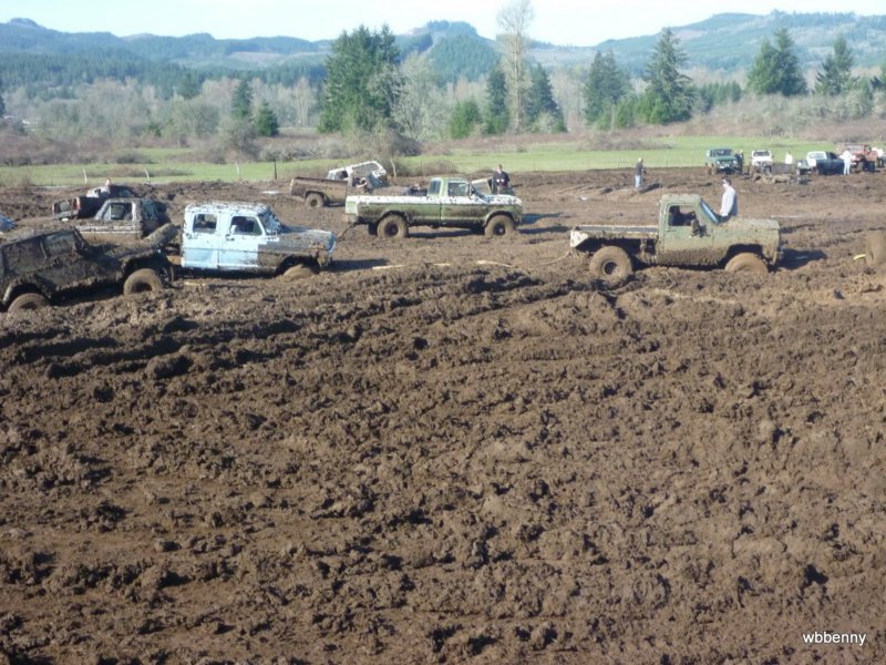 mud2010495.jpg