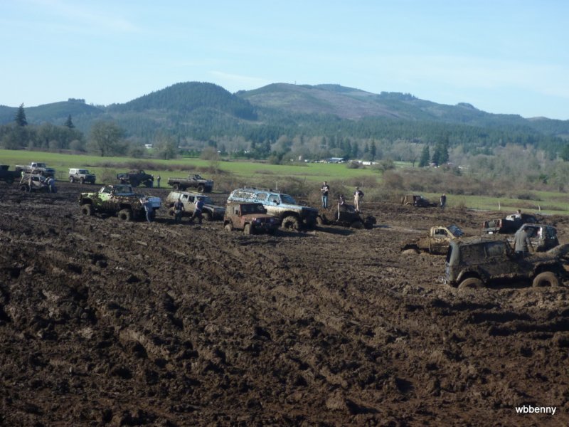 mud2010497.jpg