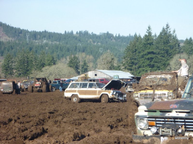 mud2010501.jpg