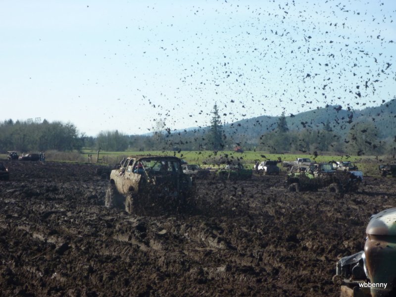 mud2010506.jpg