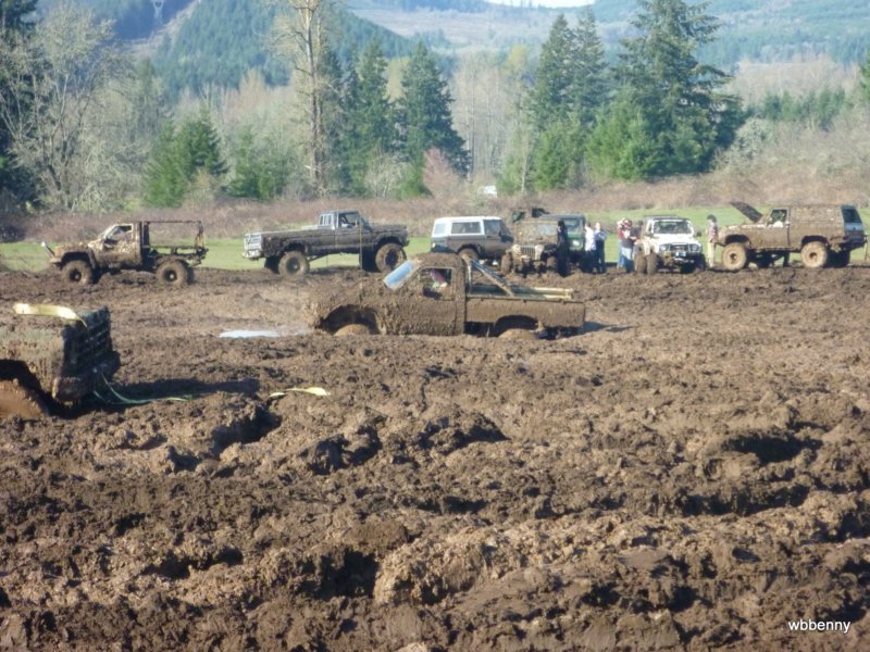 mud2010538.jpg