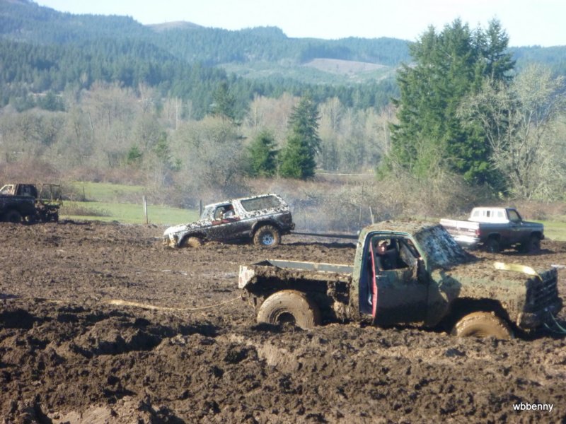 mud2010540.jpg