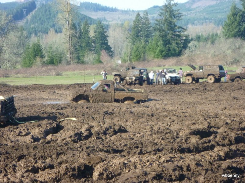 mud2010541.jpg