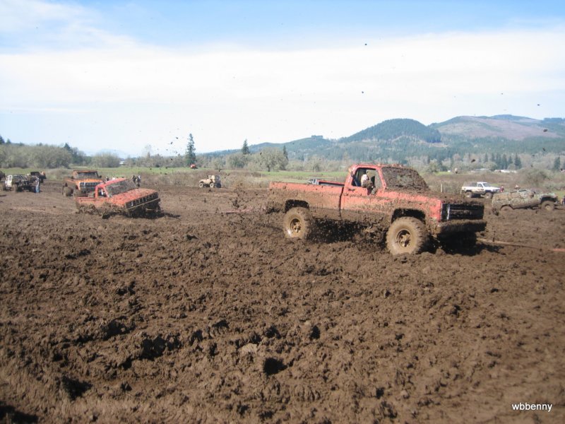 mud201075.jpg