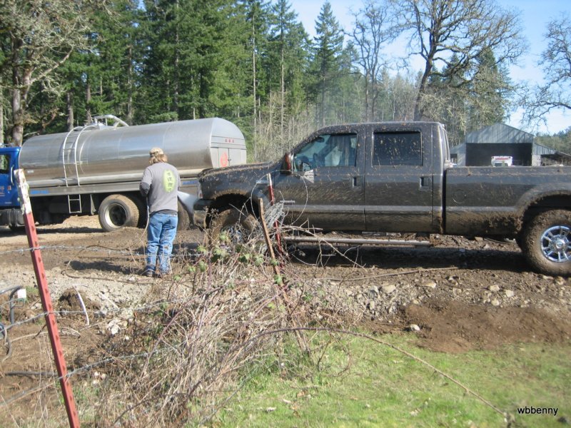 mud201097.jpg