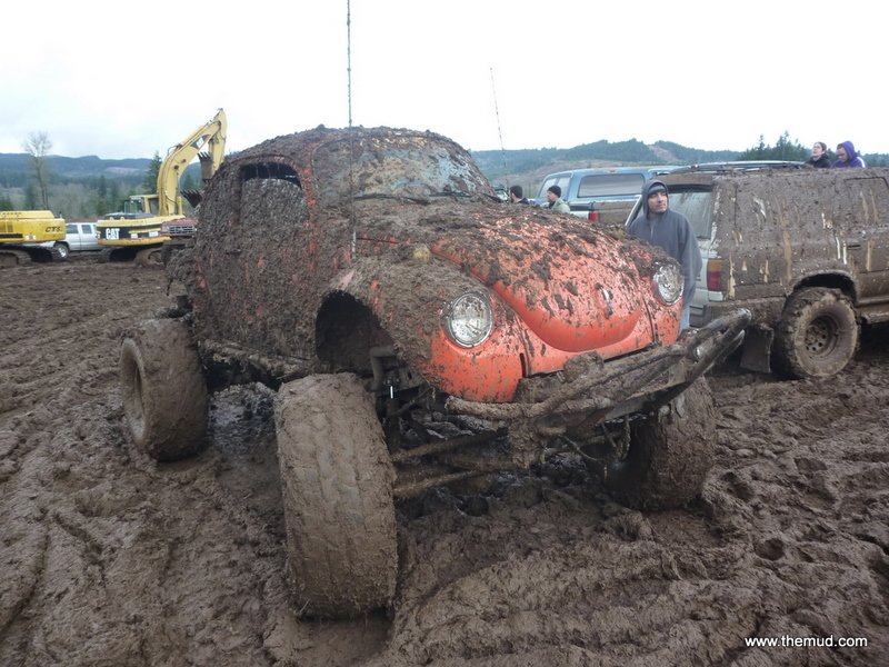 mud2011113.jpg