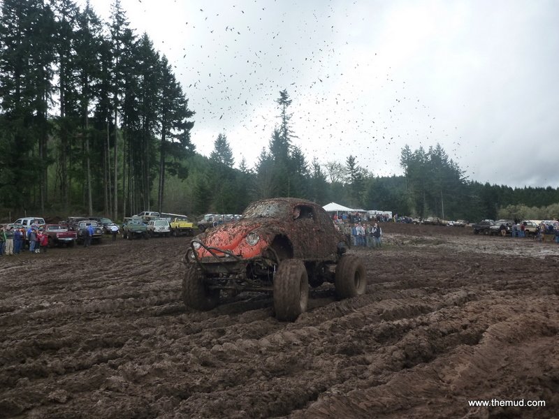 mud2011120.jpg